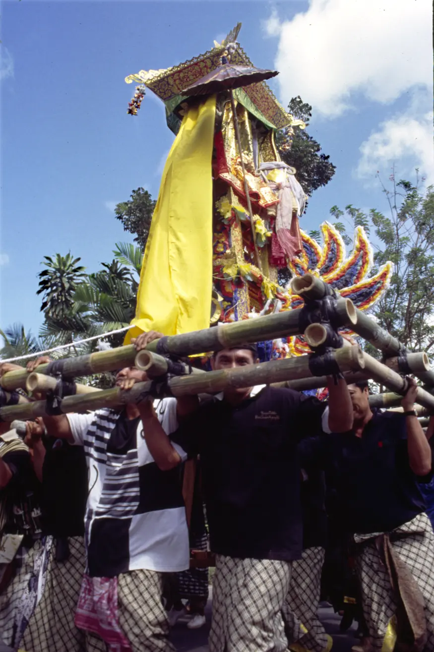 A cremation procession passes by in Ubud, Bali.
The cremation ceremony is one of the most important rituals in the life of a Balinese Hindu. It takes much time and money to plan and can take place up to years after the person's actual death.
In the photo here, the body is being carried from a temporary burial ground to the cremation ground in a high tower that can me made of anything including paper, bamboo, string, tinsel, mirrors, silk, cloth, flowers or other colorful items. The large group of men who carry the tower walk down the street in a seemingly drunken manner – zigzagging down the street and spinning the tower in circles. But far from being drunk, these men are trying to confuse the spirits so that they do not return home to cause mischief.