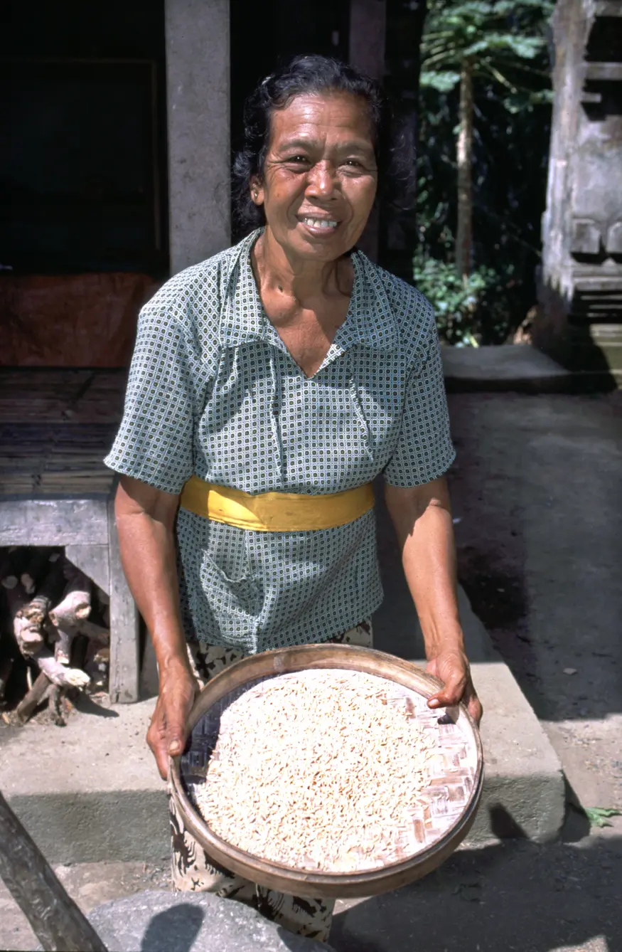 An woman sifts rice near the touristy Elephant Temple in Bali, Indonesia.
I took this photo with her permission, but then she demanded money afterward. I don't like to pay for photos, so I said no and walked away in a hail of curses. I wonder what she cursed me with?