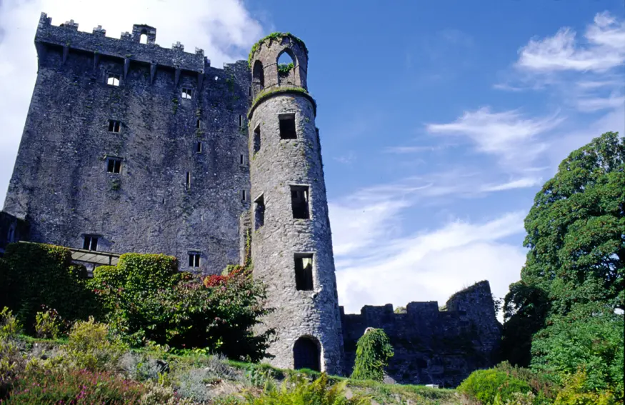 Blarney Castle, built in 1446 by the King of Munster, now made famous by the Blarney Stone. Legend says that to kiss the Blarney Stone brings the gift of articulate and convincing speech.