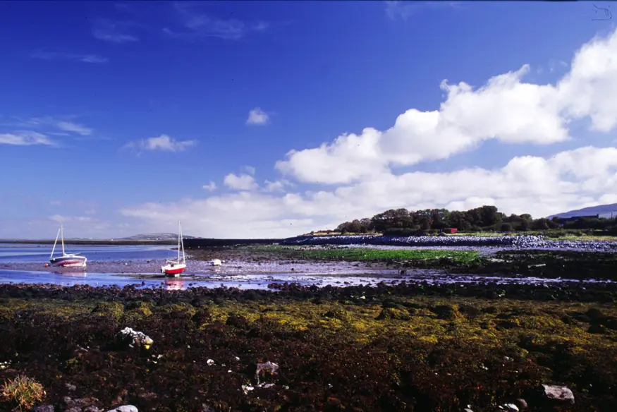 Boats in Ballyvaghan sit high and dry during low tide. (West coast of Ireland.)