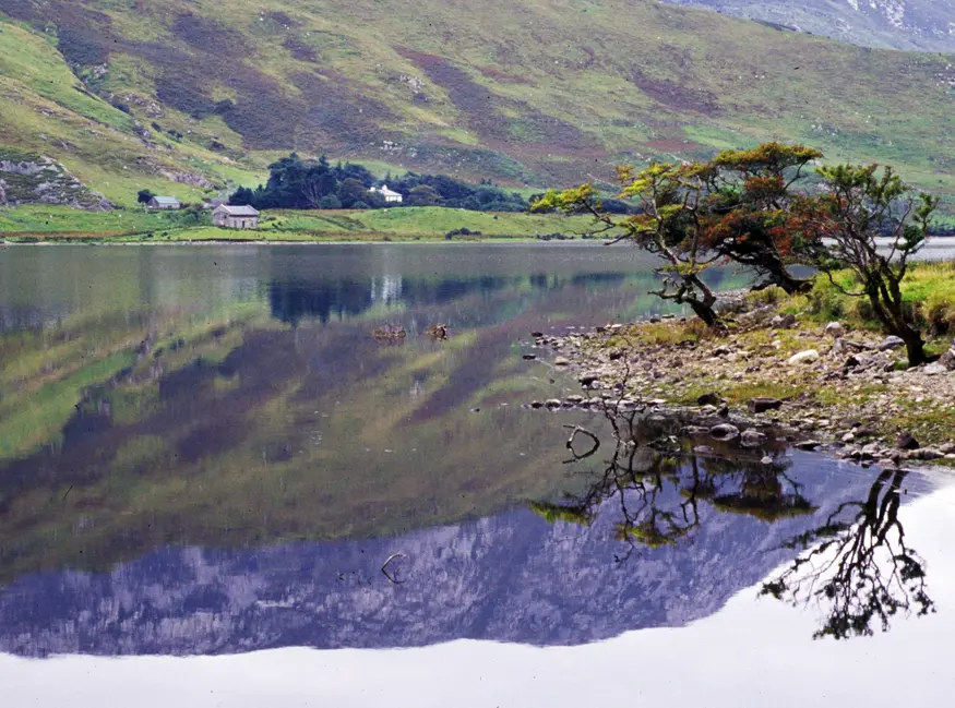 The image of a mountain and a group of trees reflects from the surface of a lake in the Connemara area of County Galway, near the Kylemore Abbey.