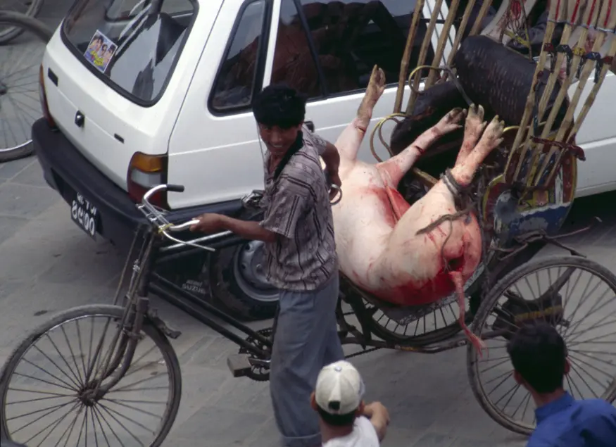 A rickshaw carries its bloody passenger through Durbar Square, located in the center of Kathmandu.