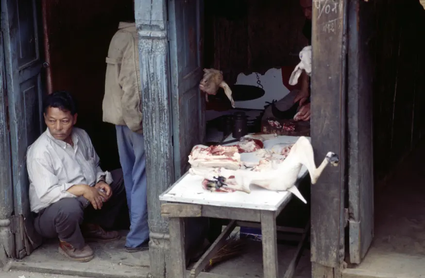 A slaughtered goat gets butchered in Kathmandu, Nepal.