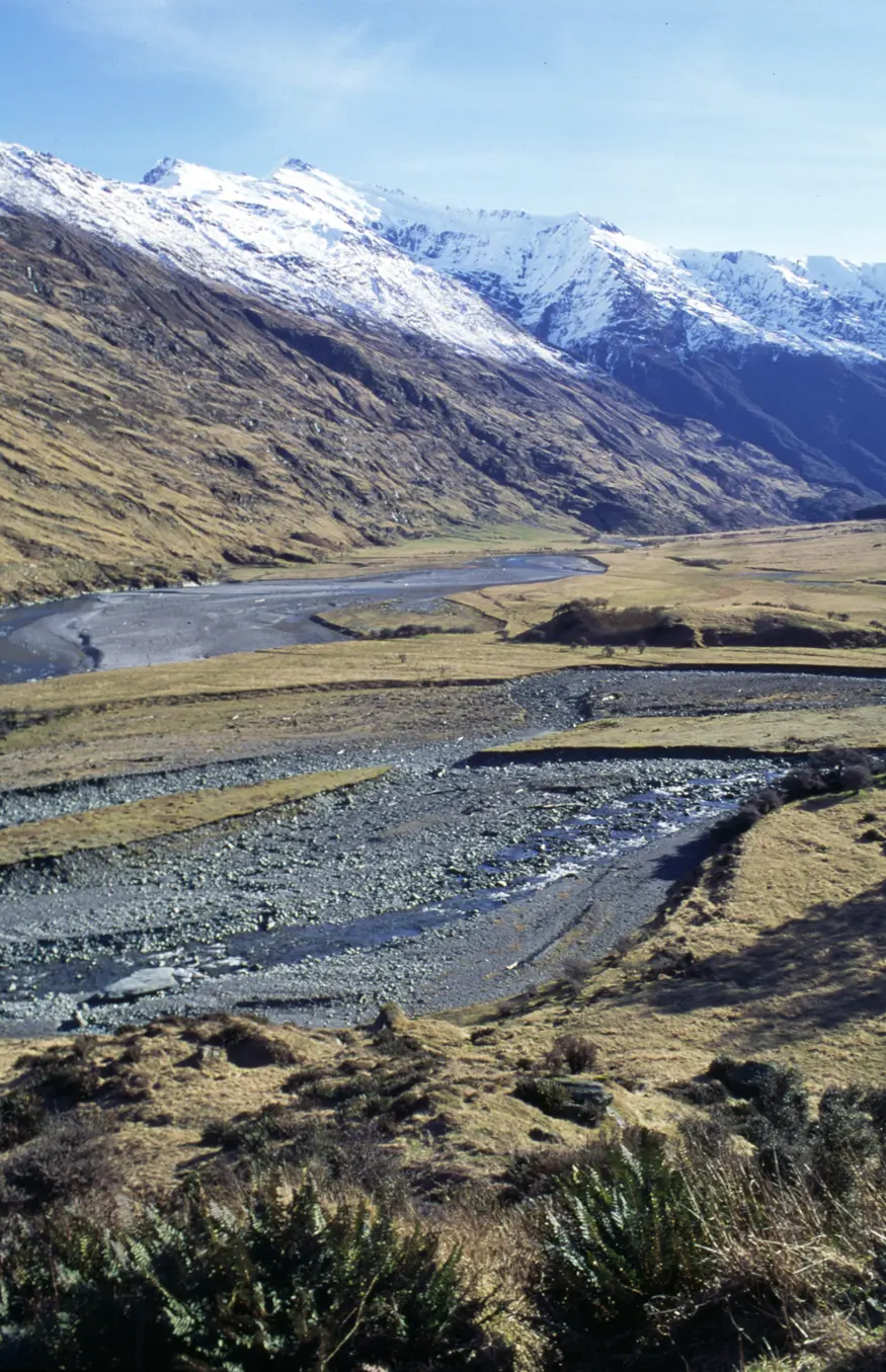 A view on the hike up to the Rob Roy Glacier, south island of New Zealand.