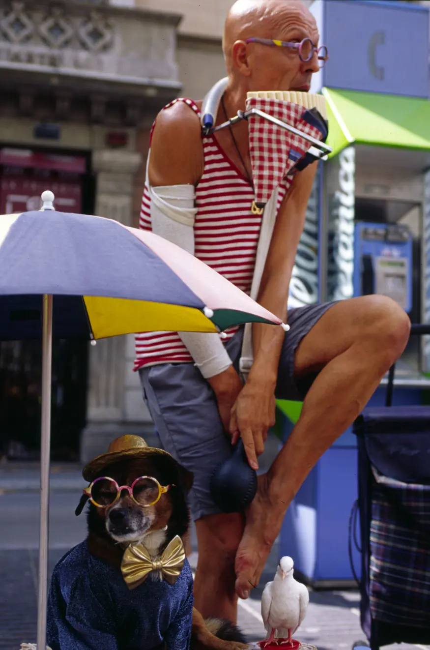 The tree-lined pedestrian area of Barcelona's La Rambla attracts tourists, locals, and street performers such as this colorful clown who plays a pan flute with a bird on head to the accompaniment of his howling dressed up mutt.