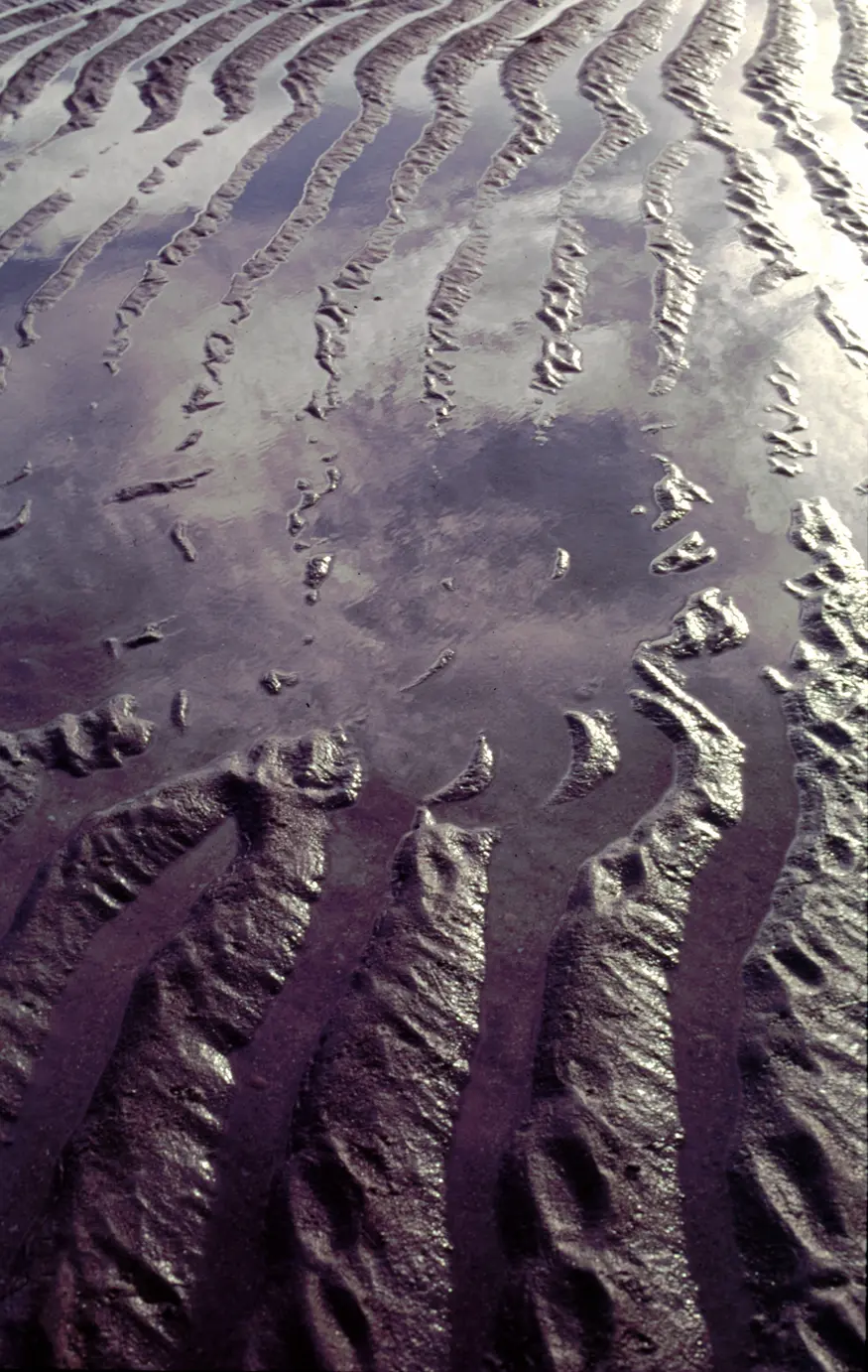 The receding tide leaves acres of ripples in the sand.
