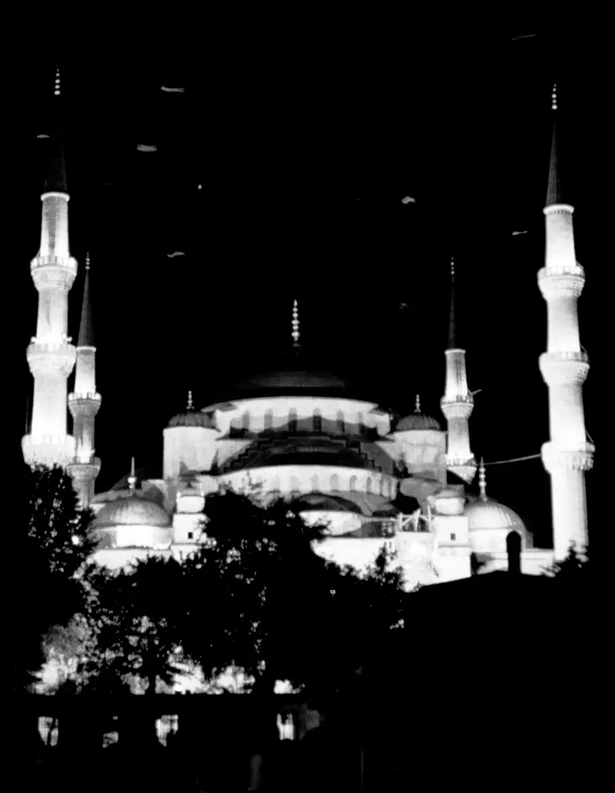 The lights of Istanbul's famous Blue Mosque (1616) attract many birds that circle overhead at night.
