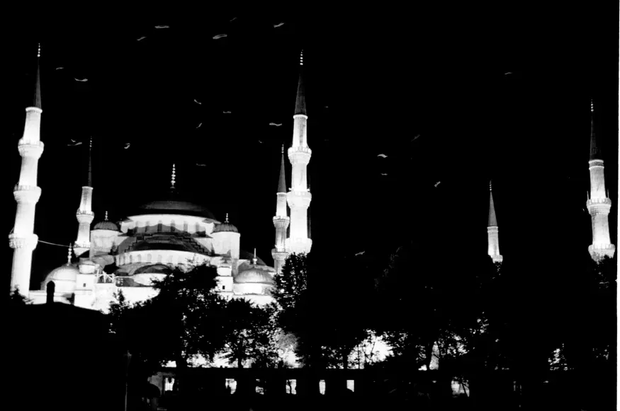 The lights of Istanbul's famous Blue Mosque (1616) attract many birds that circle overhead at night.