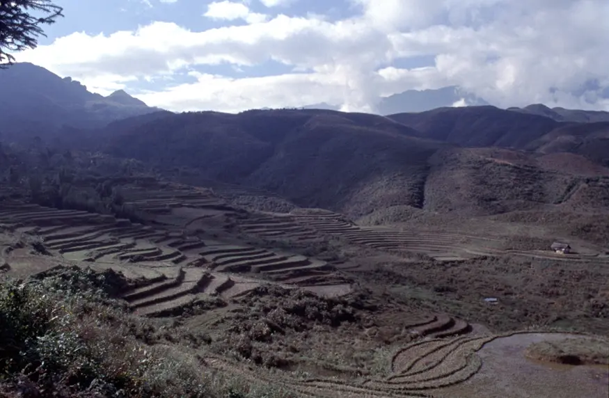 Terraced rice fields of northern Vietnam, near the border of China.