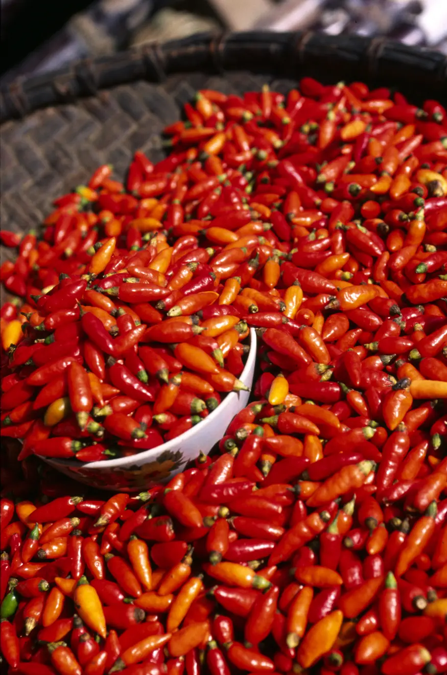 Chile peppers for sale by ethnic minorities in the Bac Ha weekend market.